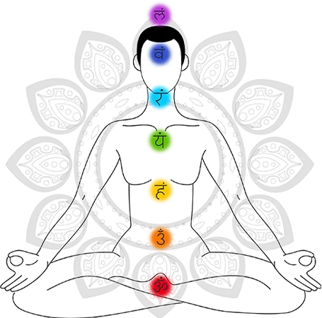 Natural Himalaya Rudraksha